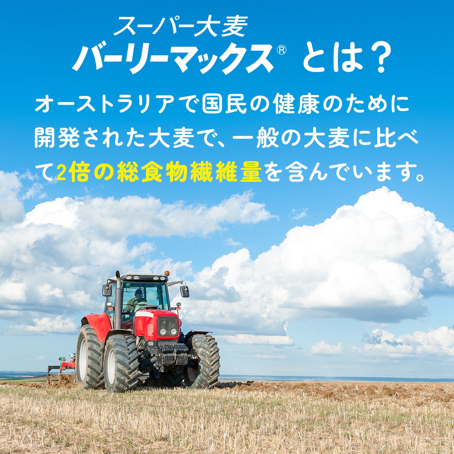 スーパー大麦 バーリーマックス 850g